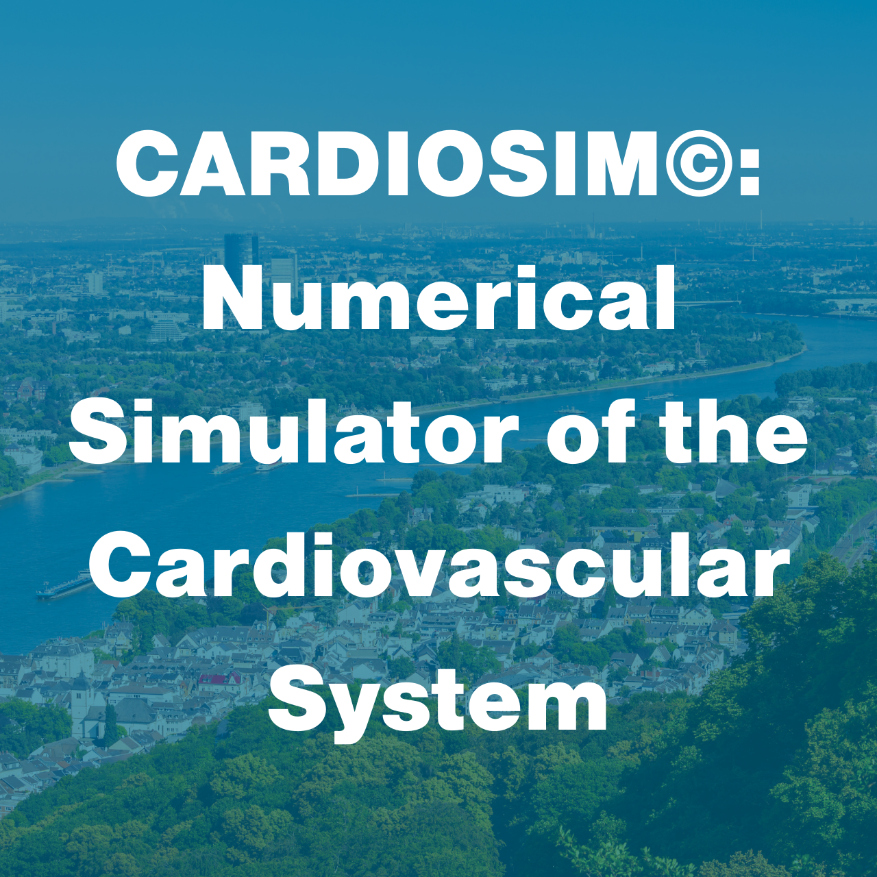 CMBBE workshop Cardiosim