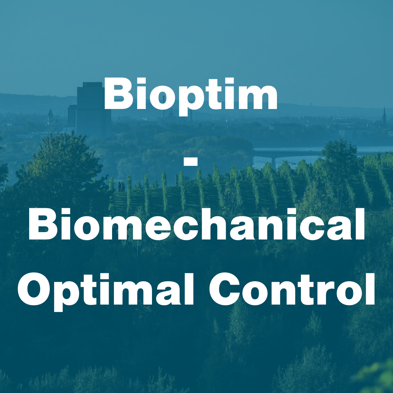 Bioptim CMBBE Workshop