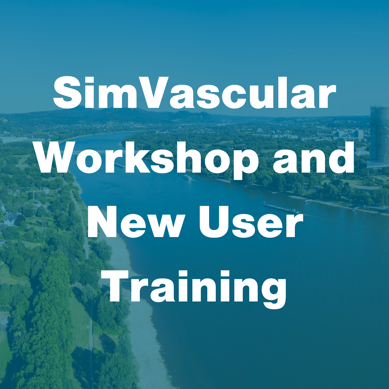 SimVascular CMBBE Workshop