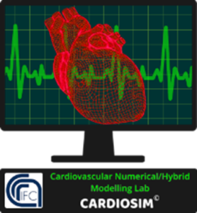 Cardiosim CMBBE workshop